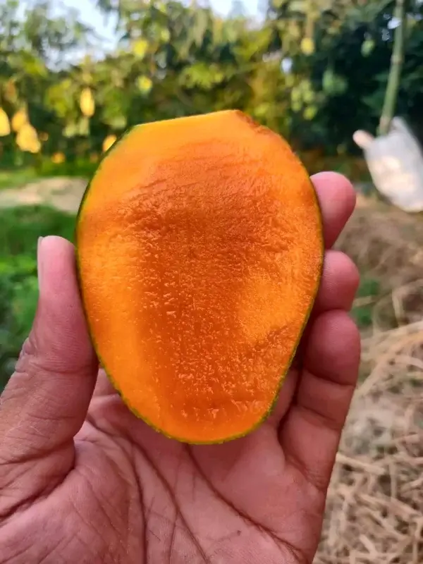 Amrupali
