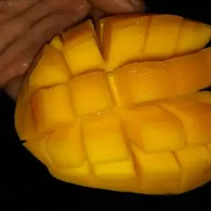 লক্ষণভোগ (লখনা)
