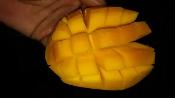 লক্ষণভোগ (লখনা)