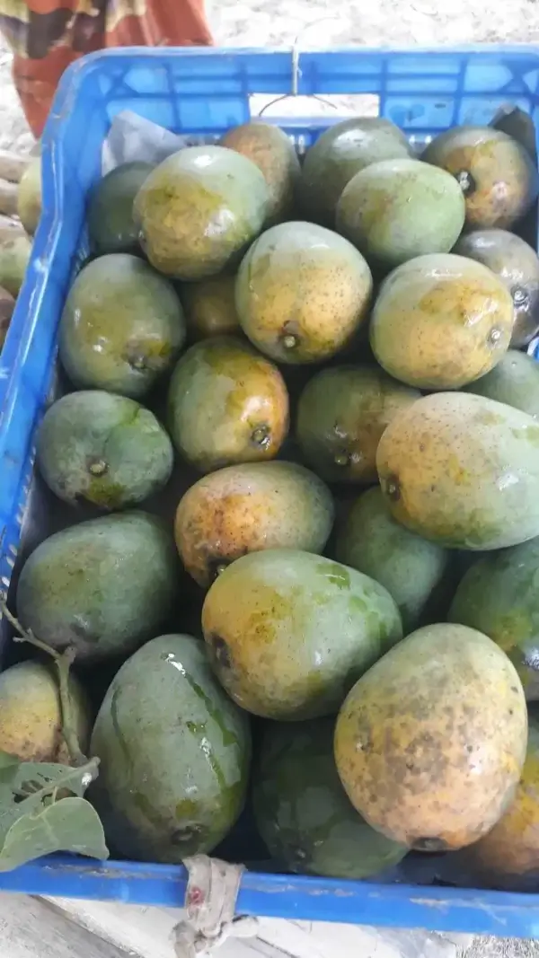 Khirsapat