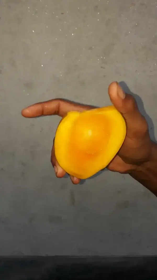 লক্ষণভোগ (লখনা)