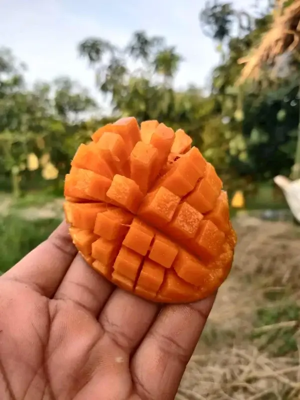 Amrupali