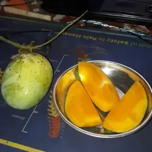 Langra Mango