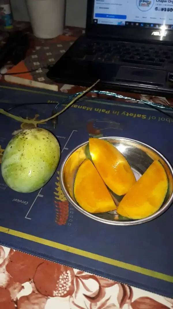 Langra Mango